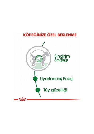 Royal Canin Mini Adult Pouch Yetişkin Köpek Konservesi 12 Adet 85 Gr