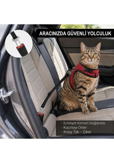 Kaçış Önleyici Kedi Gezdirme Tasması Ve Küçük Irk Köpek Gezdirme Tasması Kedi Göğüs Tasması Seti Small