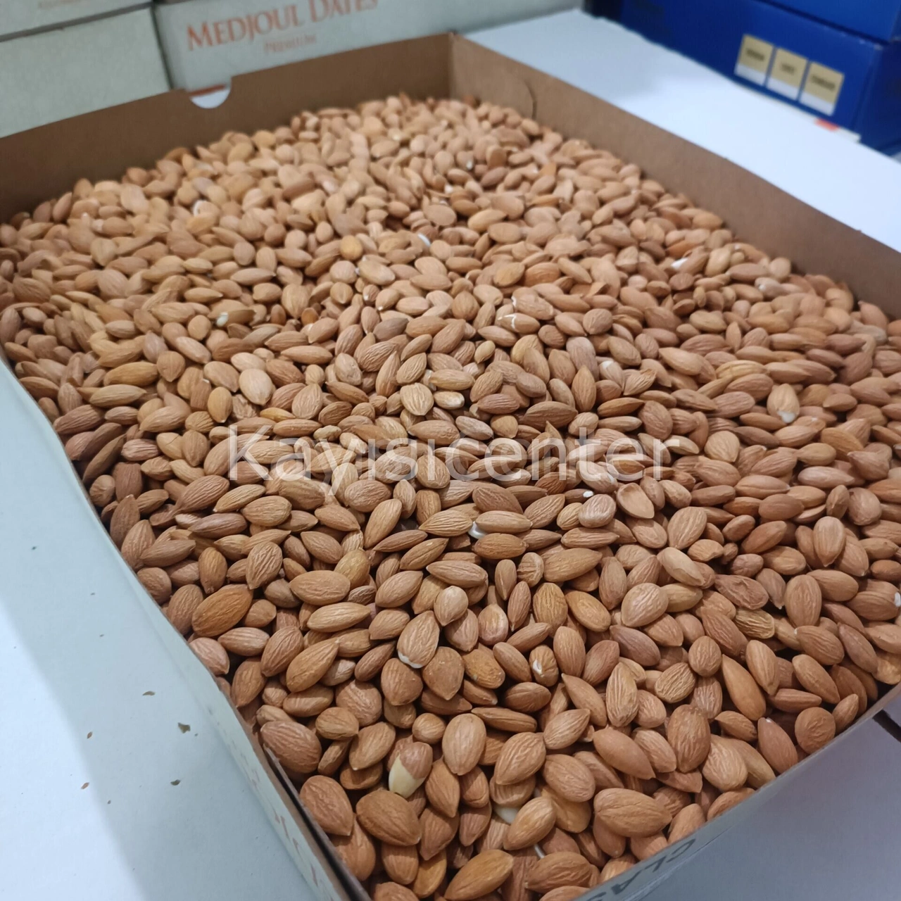Toptan Kayısı Çekirdeği 10 Kg Diğer