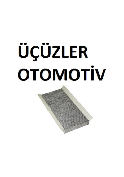 Ford Otosan Focus Connect Polen Filtresi T16N619