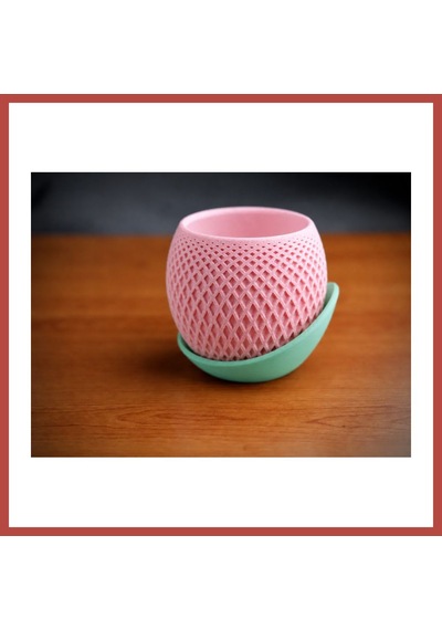 Bezos 3d Baskı Küre Saksı - Kafes Dokulu İki Parçalı Dekoratif Saksı - Pembe-mint Erdotıca Standart