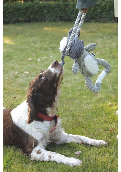 M-pets Eco Chewtopıa Sheep Köpek Oyuncağı