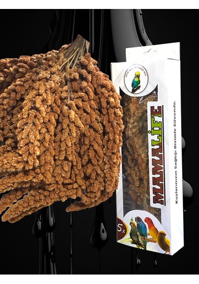 Kutulu Daldarı 120 Gr