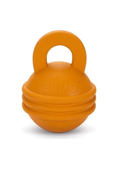 Sumo Kettlebell Girya Şeklinde Dental