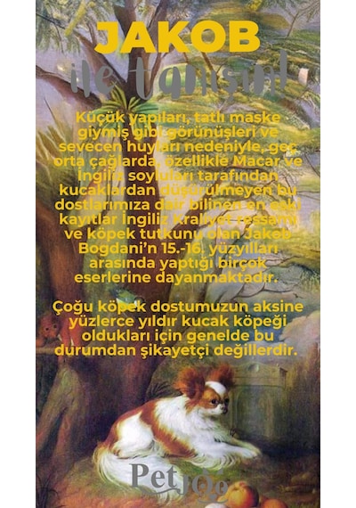 Petjoo 8.Jakob Gri-Sarı Qr'lı Köpek Künyesi