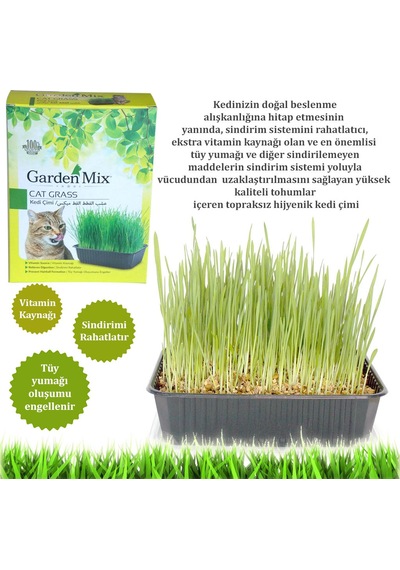 Depomıx Gardenmix Kedi Çimi