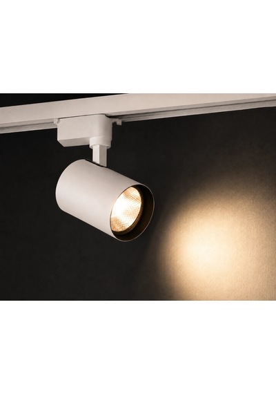 1 Adet Noas Yl29 3002 Paris 30w Ray Spot Beyaz Kasa 3200k Günışığı