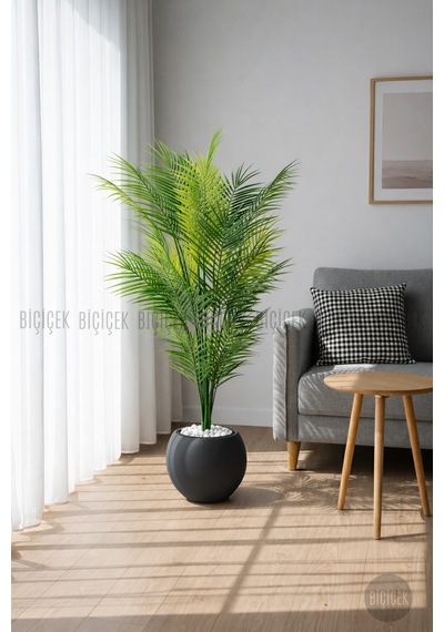 Areka Ağacı 24 Yapraklı 130 Cm Küre Saksıda Antrasit Gri