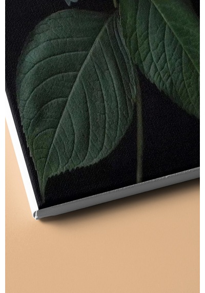 Webstyle Sayılarla Boyama Seti Kasnaklı Dağ Ortancası 60 X 75 Cm