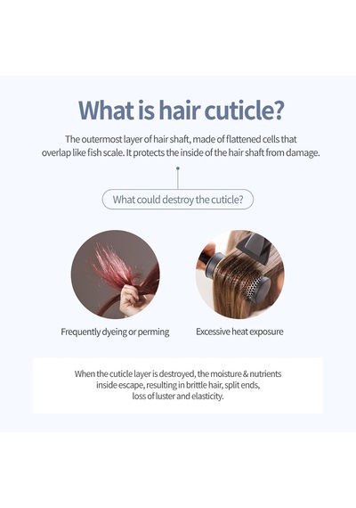 Yıpranmış Saçı Onaran Parfümlü Keratinli Saç Kremi Perfume Treatment White Musk Diğer