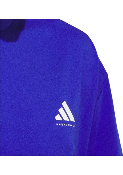Adidas Erkek Mavi Graphıc Tee Short Sleeve Adı Bb Gfx Tee Jn7110 Mavi