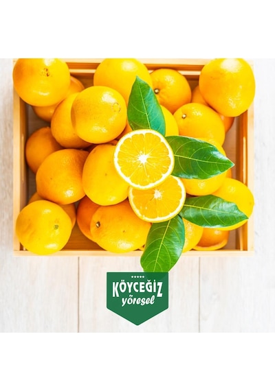 Kb Köyceğiz Yöresel Köyceğiz Portakalı 8 KG