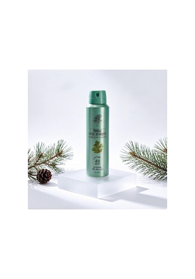 Rebul Pine Forest Erkek Sprey Deodorant 150 Ml - 48 Saat Etkili, Alkol, Tam Koruma