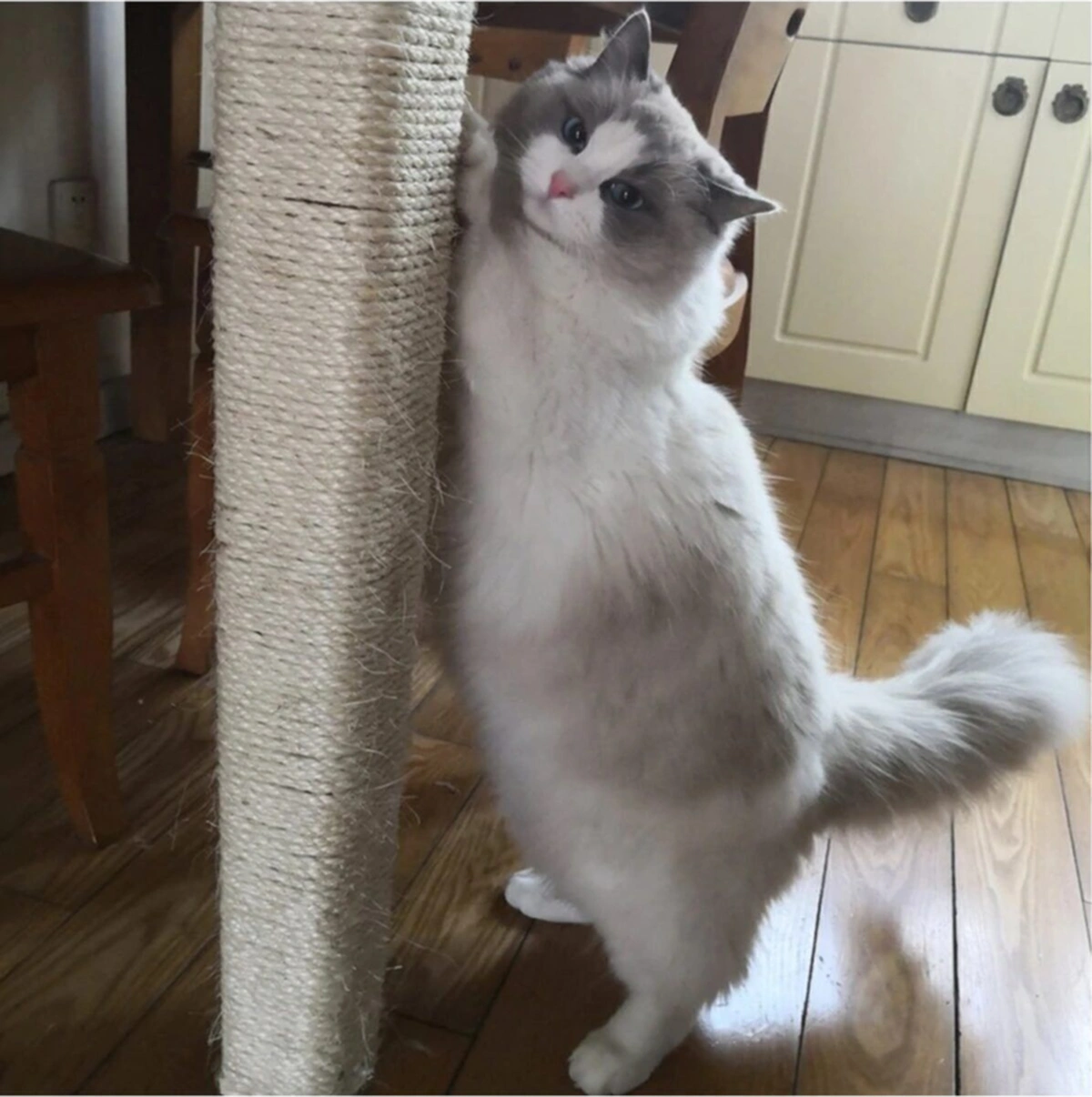 Kedi Tırmalama Ipi Doğalhalat 4 Mm X 10 M