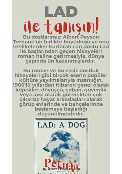 Petjoo 23.Lad Kırmızı-Gri Qr'lı Köpek Künyesi