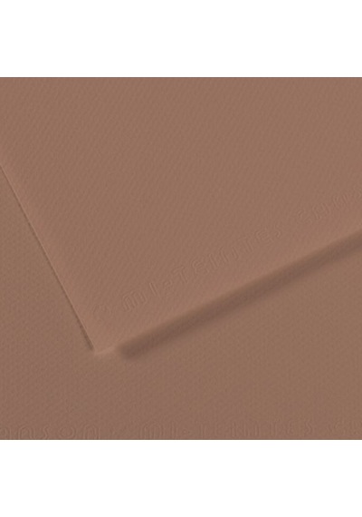 Canson Fon Kartonu Dokulu Mı-teıntes Sh Canmt 50x65 160 Gr Brown 188