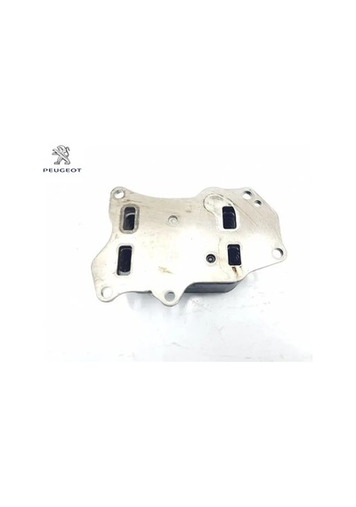 Motor Yağ/su Eşanjörü - C4 Peugeot Cıtroen, Peugeot 9814294480