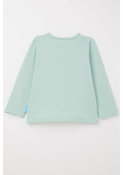 Breeze Erkek Bebek Uzun Kollu Tişört Basic 9 Ay-3 Yaş, Mint Yeşili Mint Yeşili