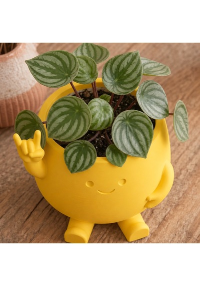 3d Baskı Smiley Face Planter - Gülümseyen Karakterli Saksı-sarı