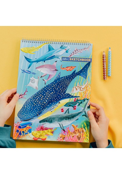 Lexroo Shark & Friends Eskiz Defteri