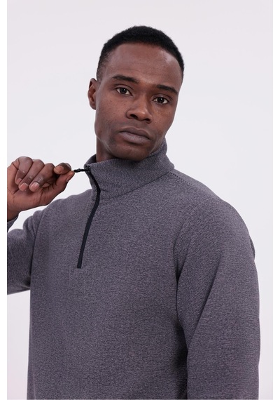 Freemen Erkek Fit Dik Yaka Yarım Fermuarlı Sweatshirt Polar Mor