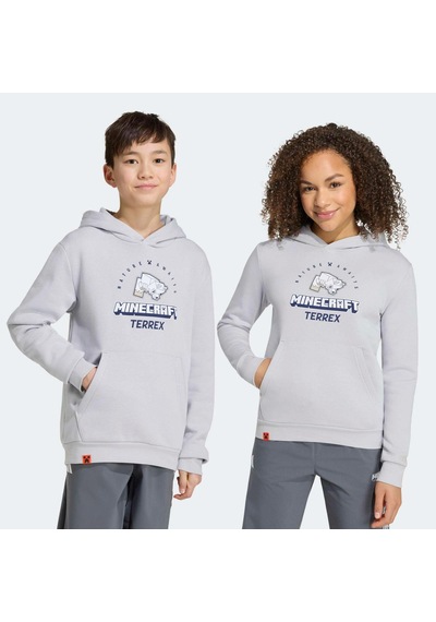 Adidas Minecraft Terrex Çocuk Gri Sweatshirt Kd8750