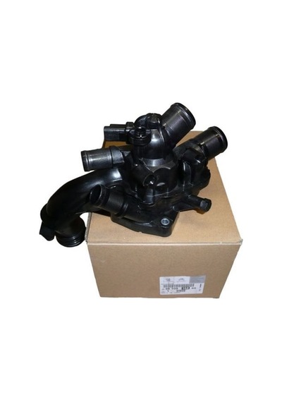 Peugeot 207 Termostat 2006-2010 9810916880 3300013 1.6