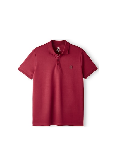 Gsstore Galatasaray Premium Basic Polo T-shirt E251133 Bordo