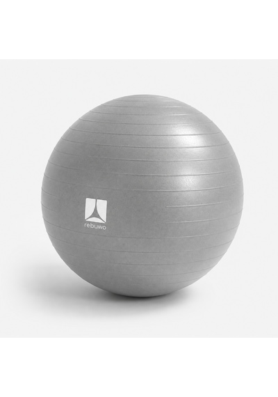 Rebuwo Pilates Topu 65 Cm Gri