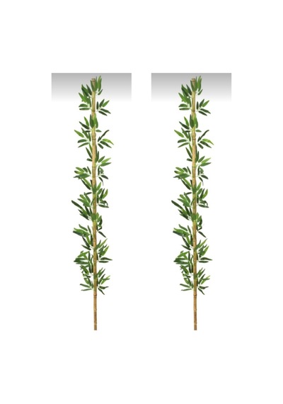 Rüzgar Yapay Çiçekçilik 2 Metre 2 Adet Bambu Yeşil