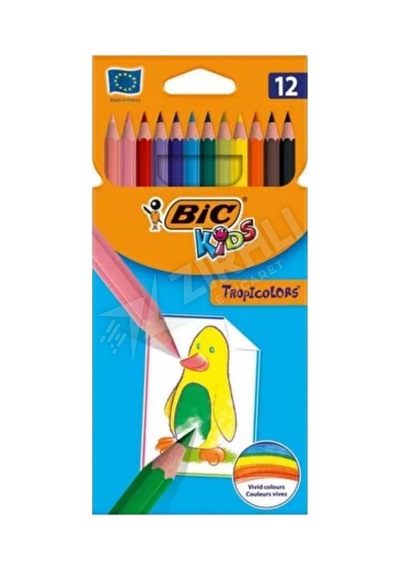 2 Adet Bic 83256611 Tropicolors 12'li Kuru Boya Kalemi Çok Renkli