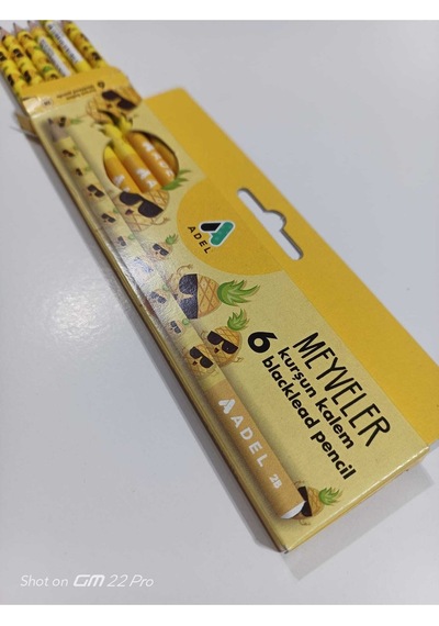 Kurşun Kalem Meyveler 6adet Sarı