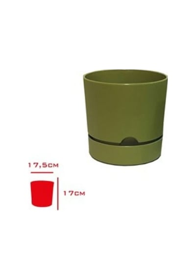 Polıwork Saksı Begonya 18 Cm Yosun Yeşili