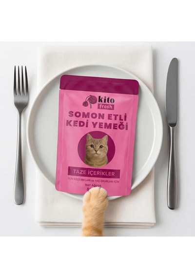 Fresh Somonlu Kedi Yemeği%100 Taze İçerikli Mama 80 G