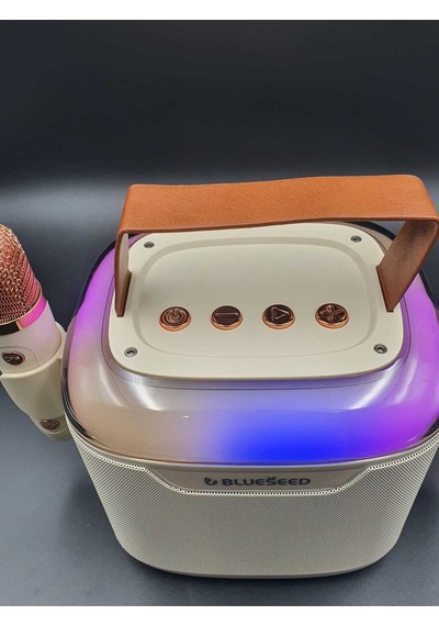 Bs-601 Bluetooth Wıreless Speaker & Karaoke Mıcrophones 13w - Beyaz