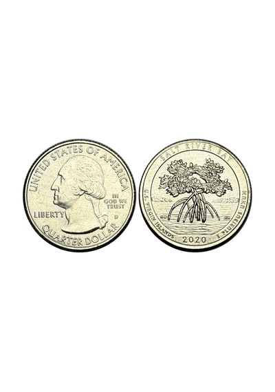 Amerika 2020 Yılı Hatıra Salt Rıver Bay Quarter Dolar