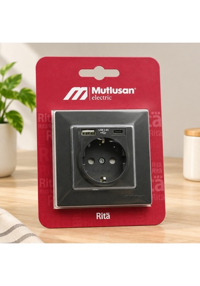 Füme Topraklı Priz Usb Ve Type-c Girişli Çerçeveli Diğer