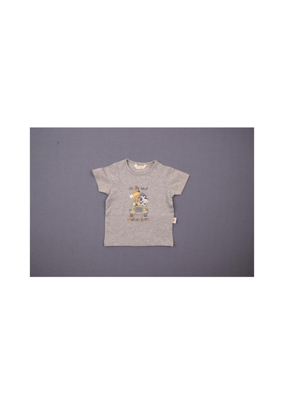 Albimini Damla T-shirt Safari Gri Melanj Açık Gri