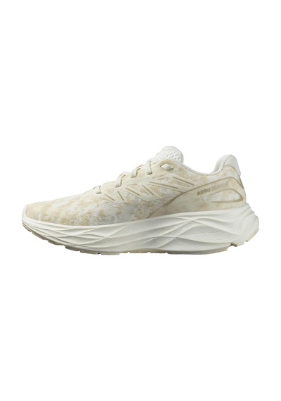 Salomon Aero Glıde 2 W Kadın Yol Koşusu Ayakkabısı Renkli Çok Renkli