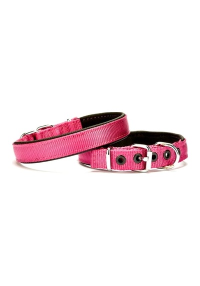 Dokuma Softlu Köpek Boyun Tasması 2 Cm X 45 Cm Mor Çok Renkli