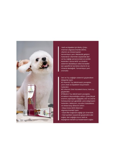 Malt Paste Kedi Macunu 100 Gr + Multivitamin 100 Gr + Biotin Past 100 Gr