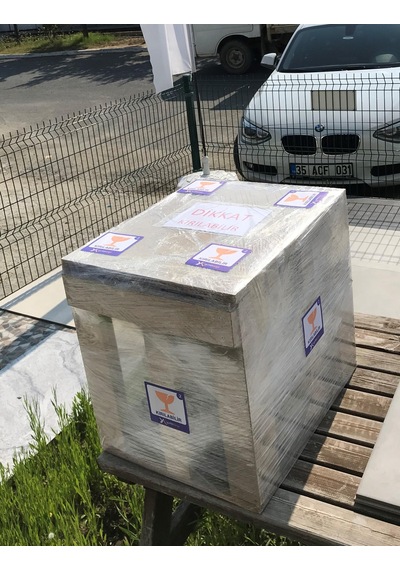 Creavit Gömme Rezervuar Gr5001 Elegant Asma Klozet ve Kapak Eg321
