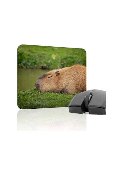 Capybara Kaymaz Dikişli Kauçuk Oyuncu Mousepad V1 - 22x18 Gaming Mouse Pad Fare Altlığı
