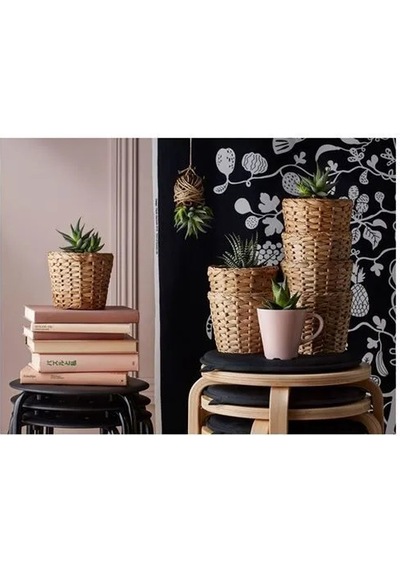 Sumuhome Frıdfull Rattan Saksı Hasır Su Sümbülü 12 Cm