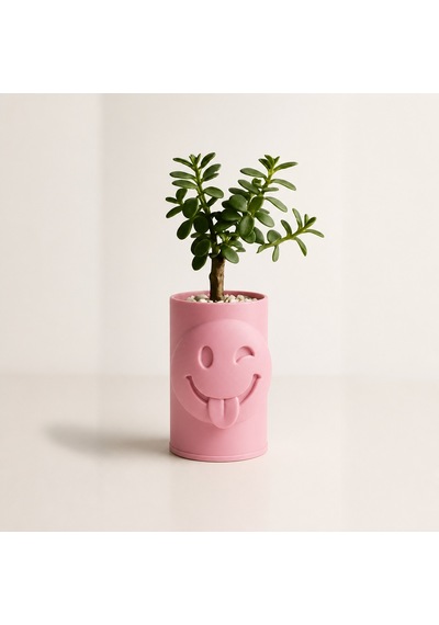 3d Baskı Emoji Planter - Göz Kırpan Yüzlü Sukulent Saksısı-pembe