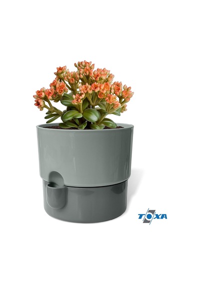 Dora Saksı Tabaklı Çiçek Kaktüs Saksısı Parlak Plastik Saksı 4 Adet, Gri, 2l, 16cm