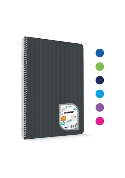 Colormaxi Plastik Kapak 120 Yaprak Çizgili Spiralli A4 Defter
