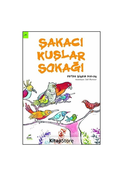 Şakacı Kuşlar Sokağı / Petek Sinem Dulun
