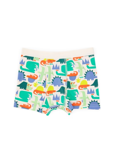 U.S. Polo Assn. Erkek Çocuk 3'lü Boxer Takım 50319387-VR036