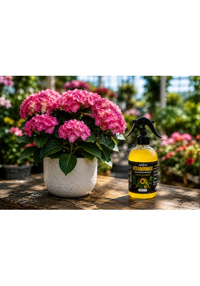 Vitaminmax Yaprak Bakım Vitamini Spreyi 500 Ml Ev Bitkileri, Orkide, Monstera, Barış Çiçeği Ve Tüm Süs Bitkileri İçin